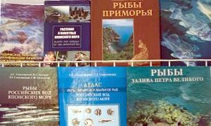 Выставка Соколовский А.С.-миниатюра