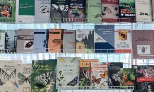 Выставка Удивительный мир насекомых-миниатюра