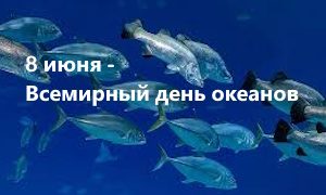 Выставка «Удивительный мир океанов»-миниатюра