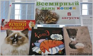 Выставка «Всемирный день кошек» в ФНЦ Биоразнообразия - миниатюра
