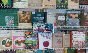 Выставка «Ягоды и фрукты-полезные продукты» в ФНЦ Биоразнообразия - миниатюра