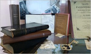 Выставка Загадки старых переплетов-миниатюра