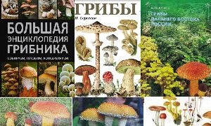 Выставка Золотая осень – время собирать урожай-миниатюра