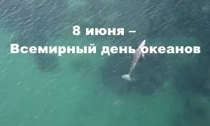 Выставка,к Всемирному дню океанов-миниатюра