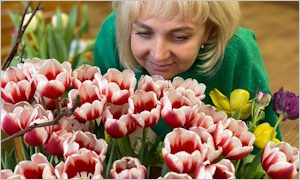 Выставки книг, фотографий и цветов, посвященные юбилеям в БСИ-миниатюра